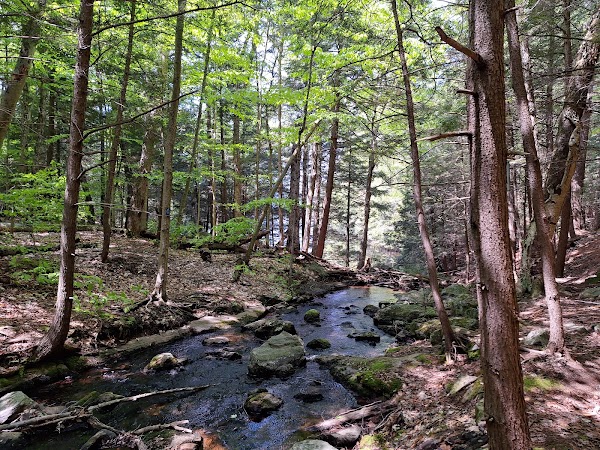Hardy Lake Provincial Park 2