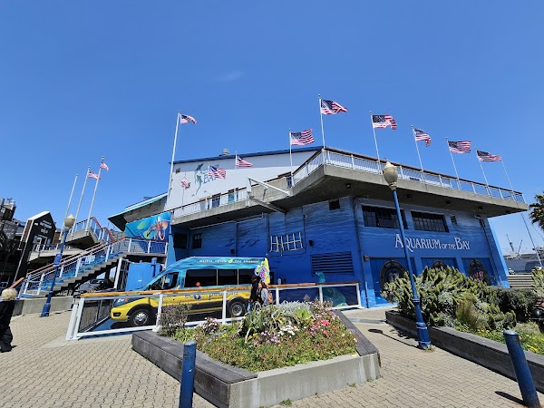 Aquarium of the Bay 5