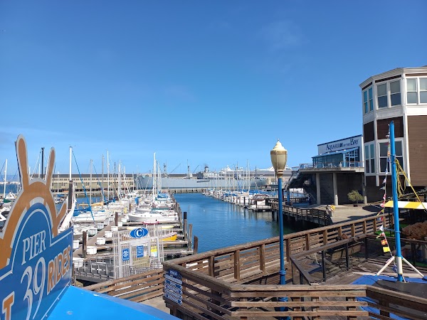 Aquarium of the Bay 3