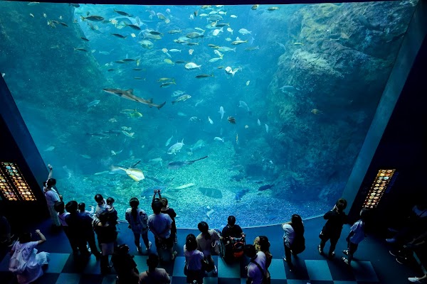 Enoshima Aquarium 5