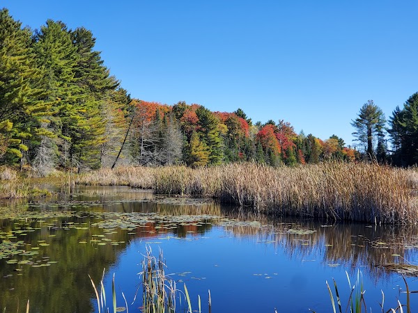 Bracebridge 4