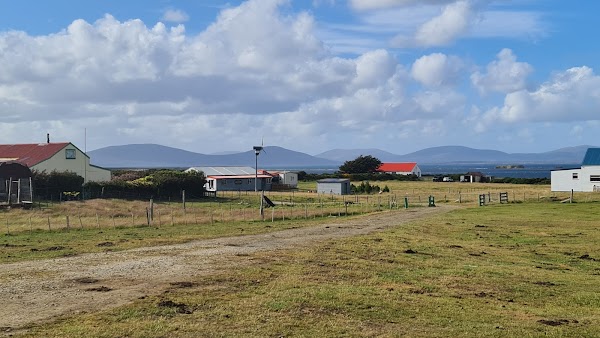 West Falkland 1