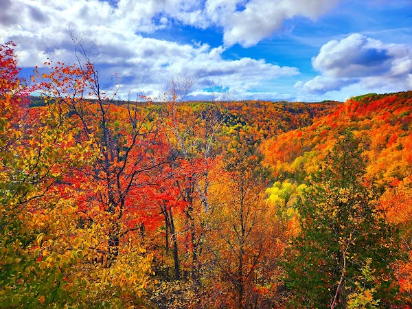 Devil's Glen Provincial Park