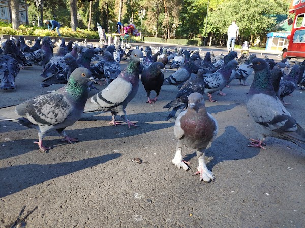 Park of 28 Panfilov Guardsmen 3