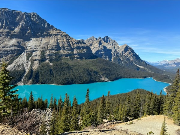 Peyto Lake 1