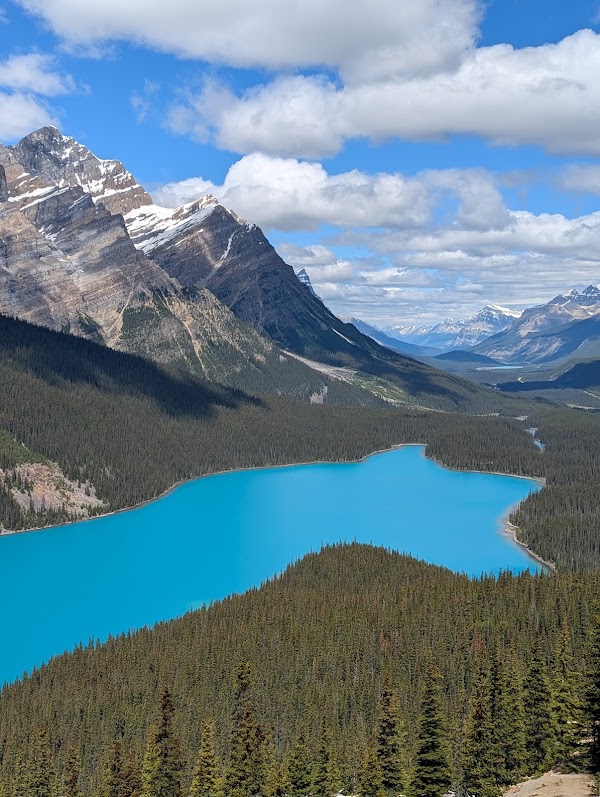 Peyto Lake 5
