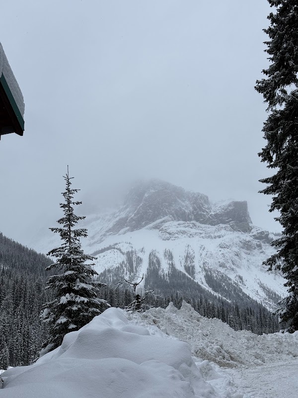 Peyto Lake 2