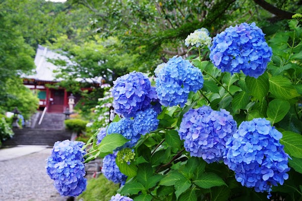 Yata-dera 5