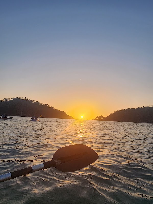 Palolem Beach, GOA 3