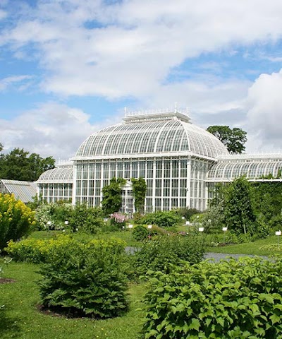 Kaisaniemi botanic garden
