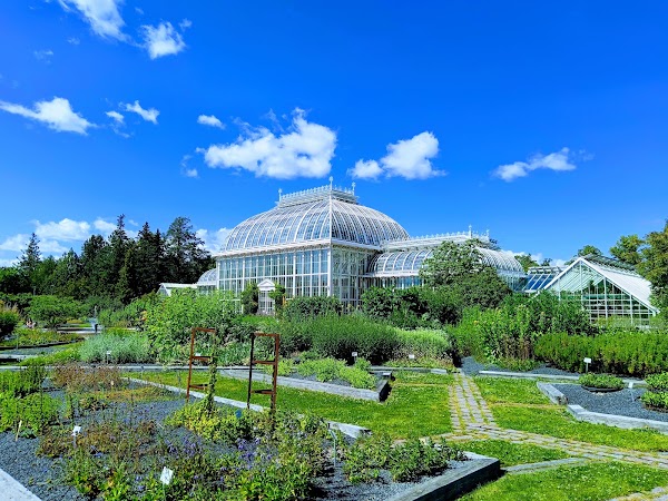 Kaisaniemi botanic garden 5