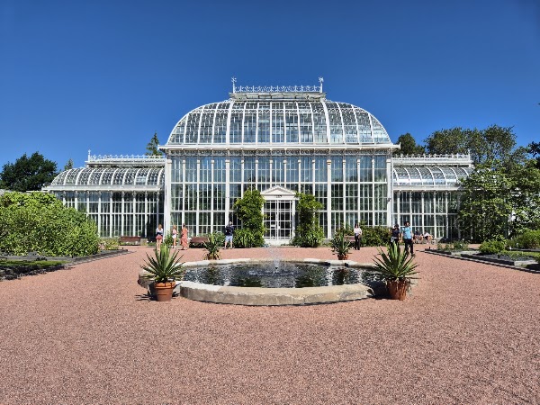 Kaisaniemi botanic garden 4