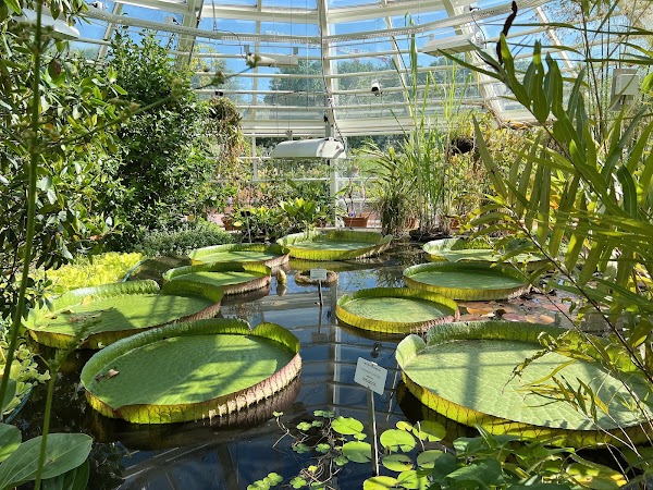 Kaisaniemi botanic garden 3