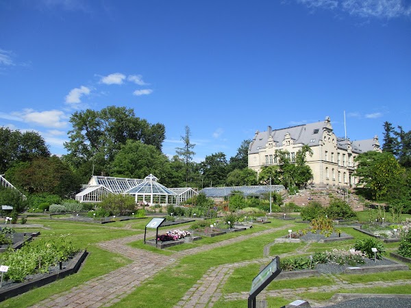 Kaisaniemi botanic garden 2