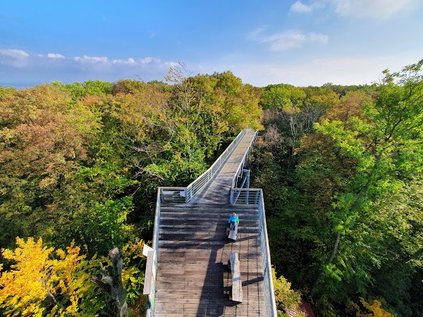 Nationalpark Hainich 5