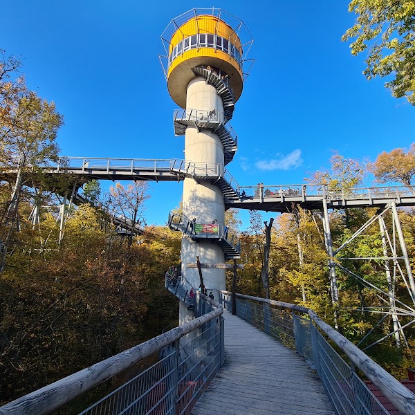Nationalpark Hainich 4