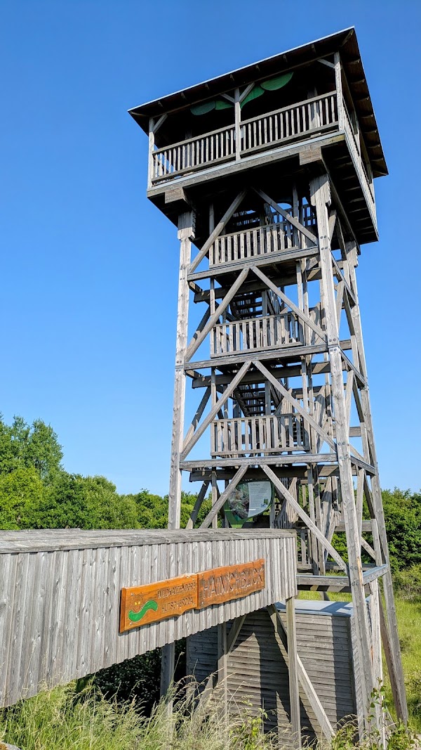 Nationalpark Hainich 2