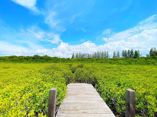 Tung Prong Thong (Golden Meadow)