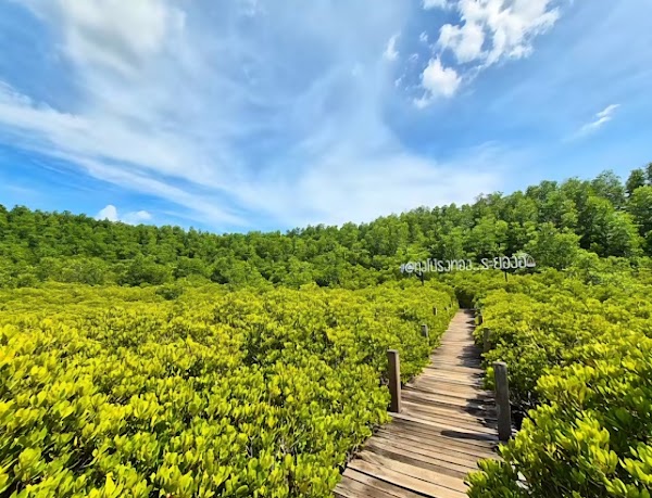 Tung Prong Thong (Golden Meadow) 5