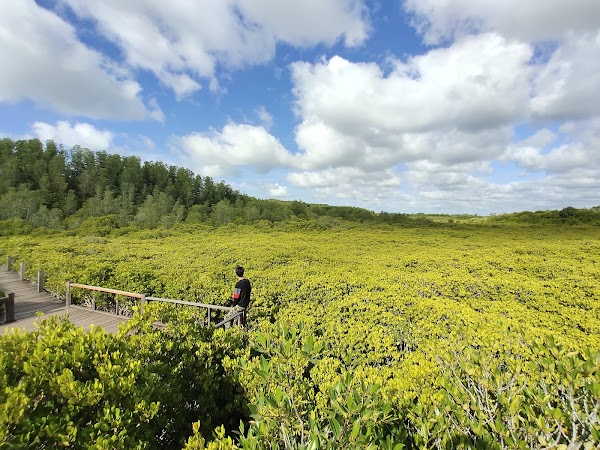 Tung Prong Thong (Golden Meadow) 3