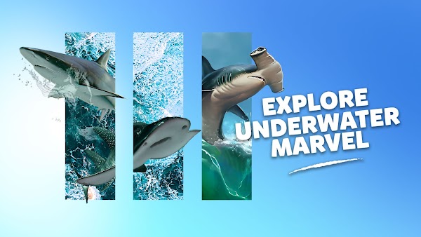 Marine Safari Bali