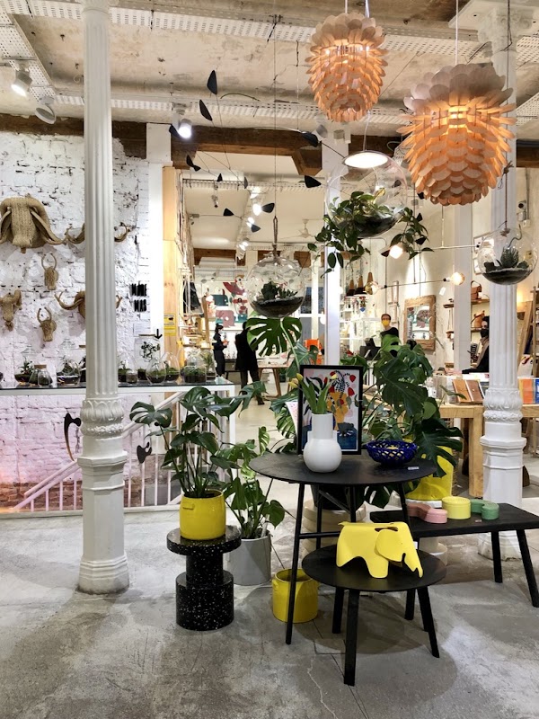El Moderno Concept Store 4