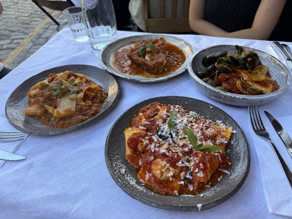 Campania 5