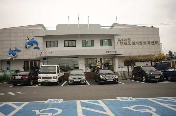 Seogwipo a Five-day Interva Village Market