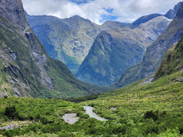 Nz 38