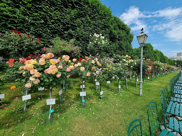 Volksgarten 2