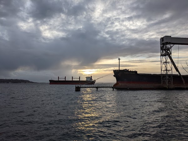 Elliot Bay Trail