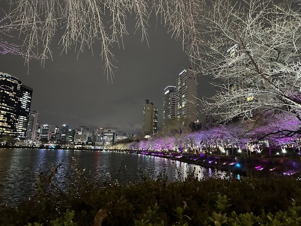 Seokchon Lake 2