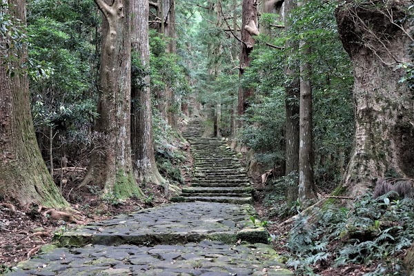 Kumano Kodo - Nakahechi Daimon-saka Pilgrim Route