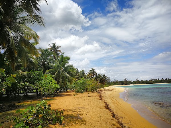 Las Terrenas 4