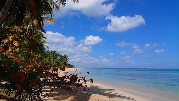 Las Terrenas 3