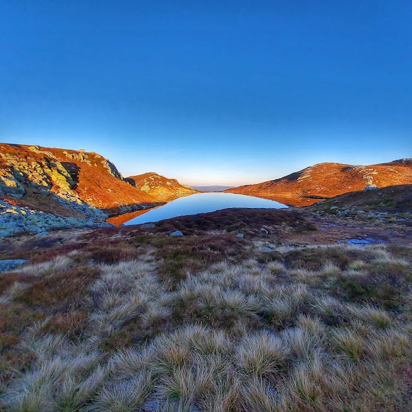 Lifjell