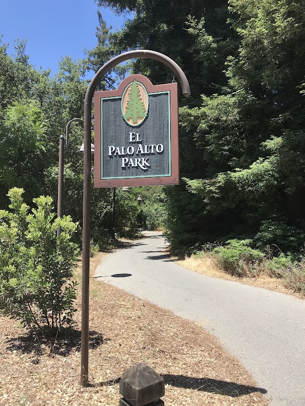 El Palo Alto Park 1