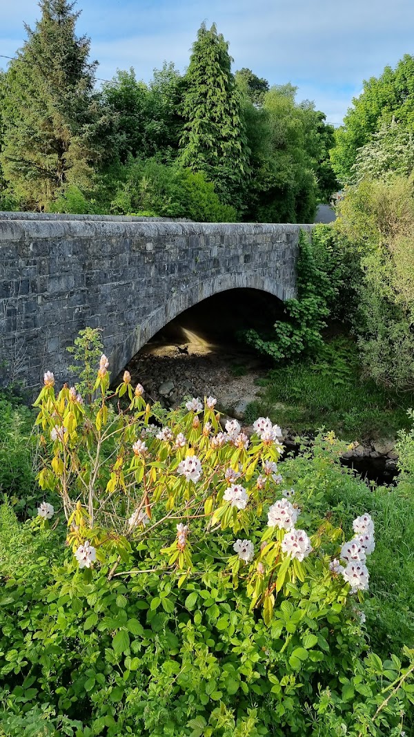 Laragh 5