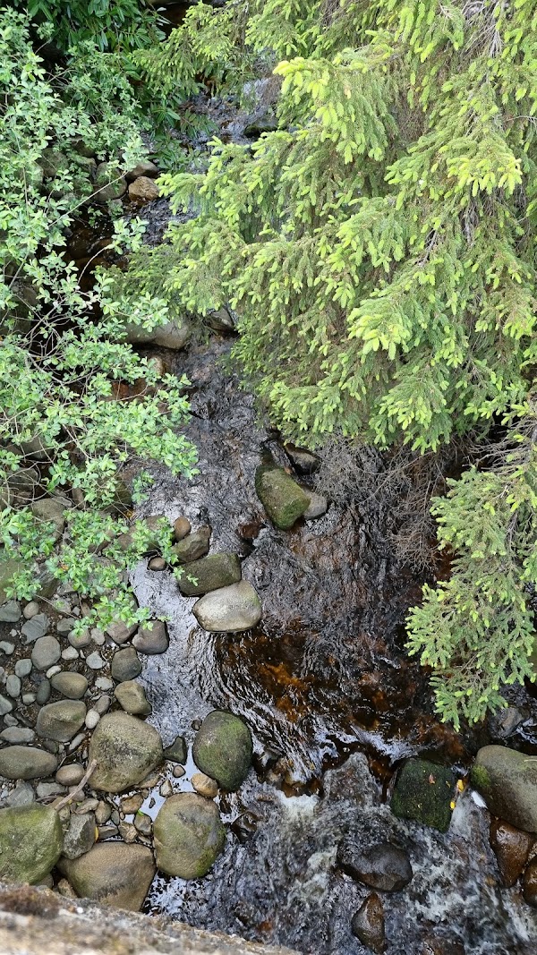Laragh 2