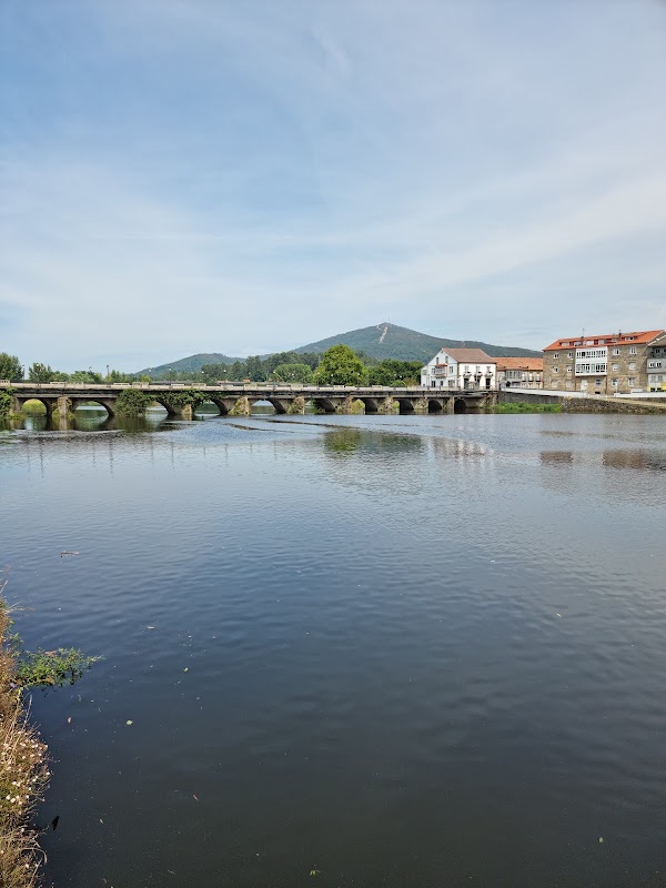 Pontecesures 5