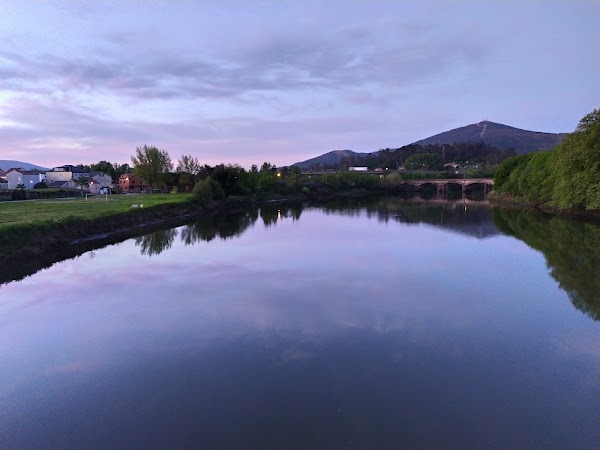 Pontecesures 3