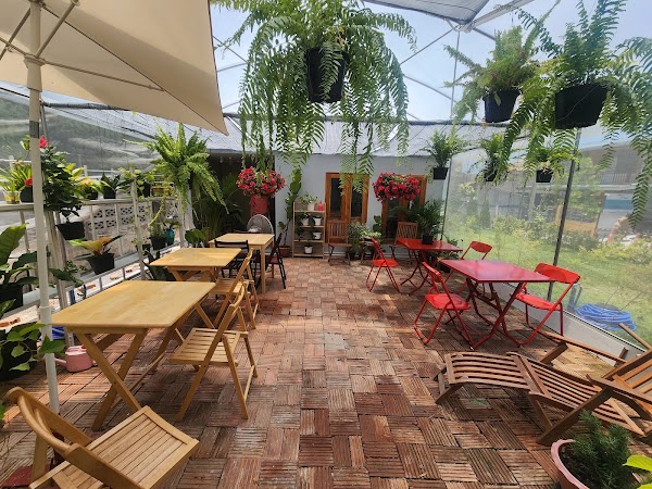 Phyllie Cafe 1