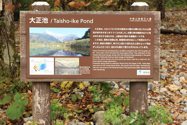 Taisho Ike Pond 4