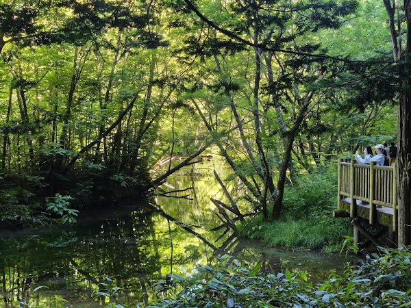 Taisho Ike Pond 2