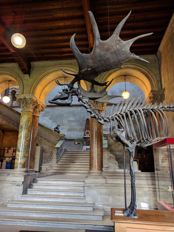 Museum Building (Geology, Geography and Civil Engineering)