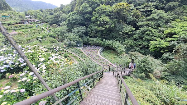 猴崁水圳步道|猴崁圳古道