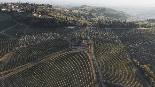 I Vigneti del Chianti