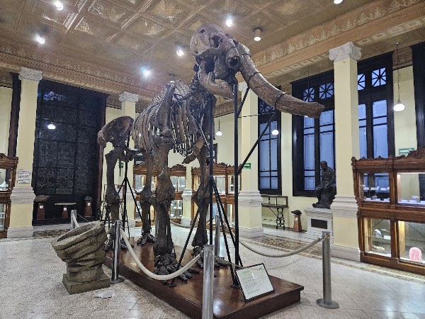 Museo del Instituto de Geología de la UNAM