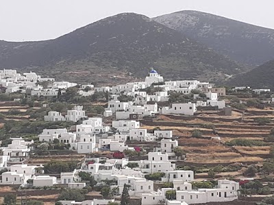 Apollonia