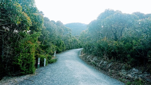 Mount Oberon Summit Track 4